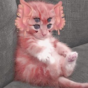 Meet your Posher, Alexandra